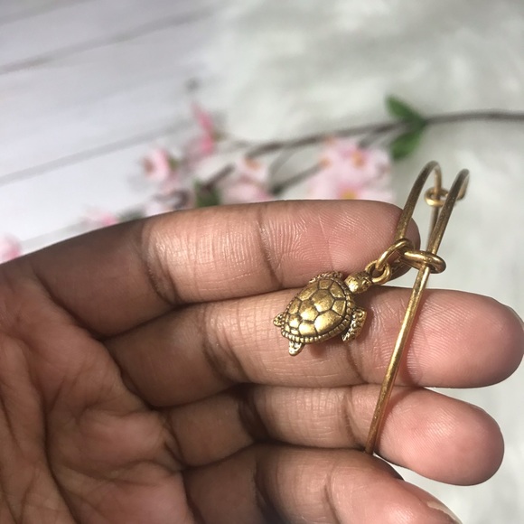 Alex and Ani turtle bracelet - Picture 3 of 5